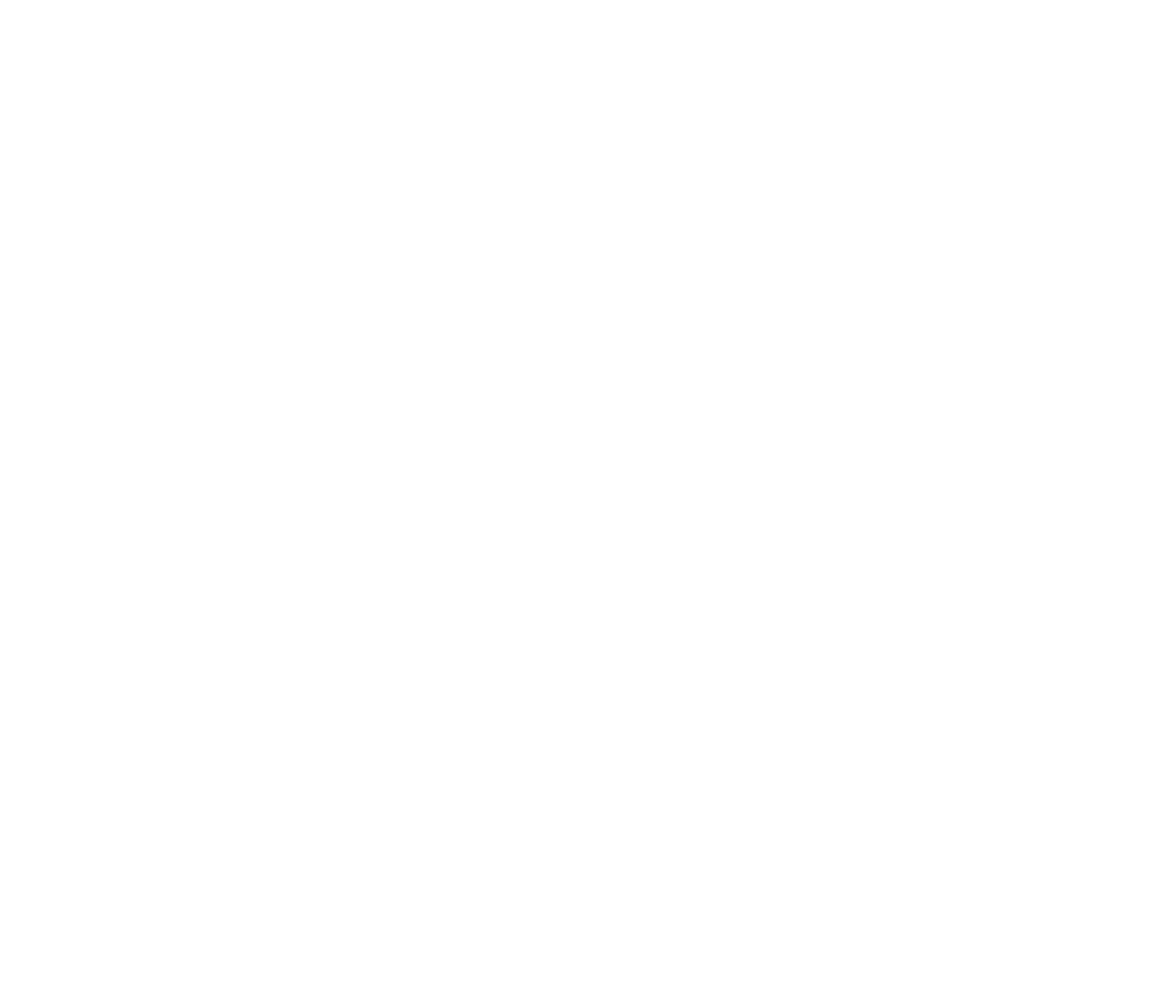 logo-experience-es