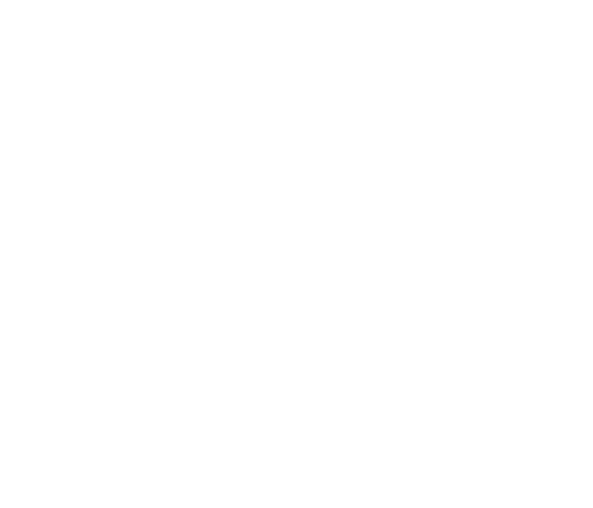 logo-experience